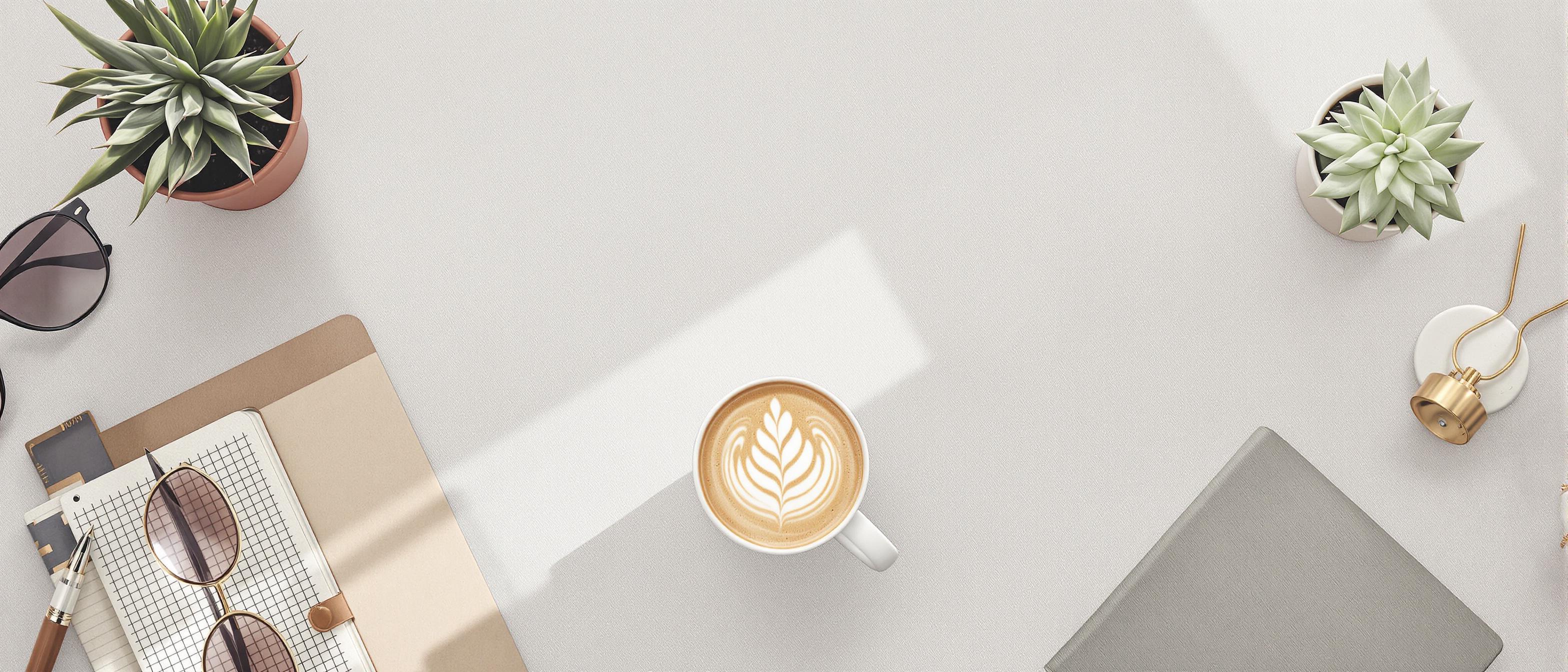 A curated arrangement of related items displays consistent visual branding elements.